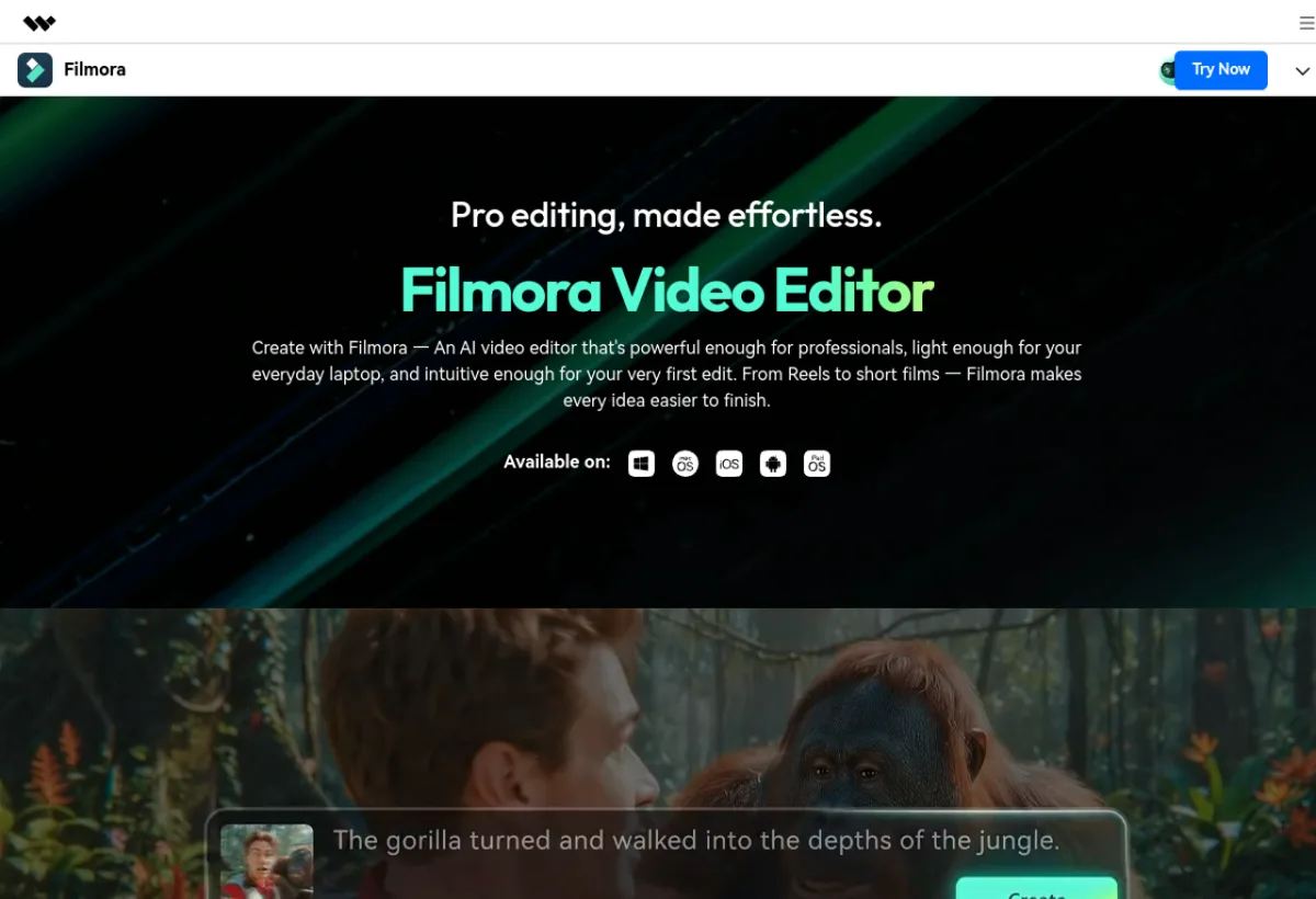 Filmora produit - avis 2026